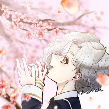花見