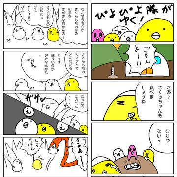 ぴよぴよ隊がゆく!