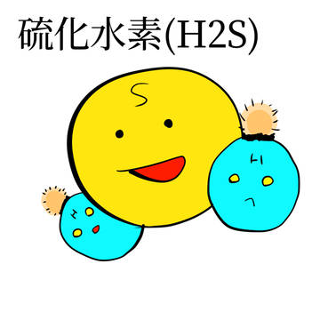 硫化水素(H2S)
