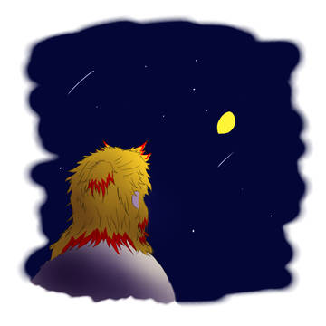 流れ星