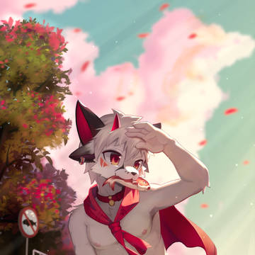 凤凰树