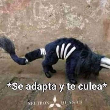 SCP