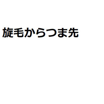 旋毛からつま先
