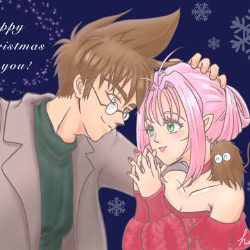 Merry Christmas !
