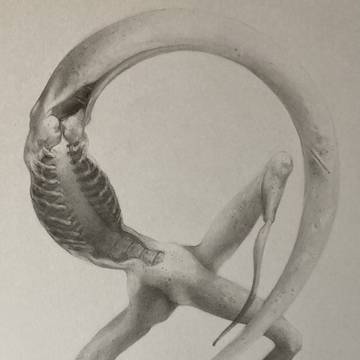 Nyarlathotep:The Bloody Tongue