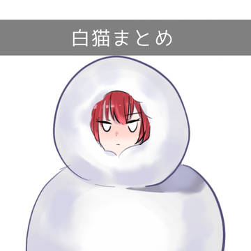白猫まとめ②