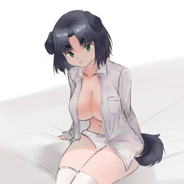 汪