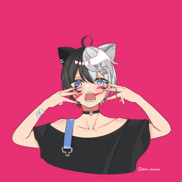 kamitoアニマル