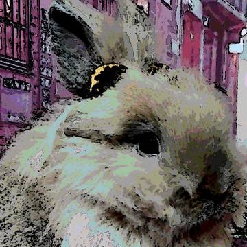 ら