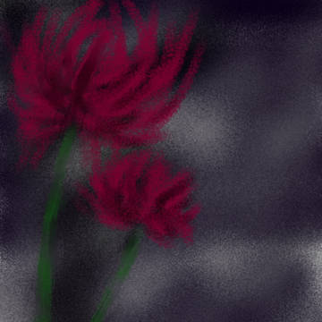 二輪の彼岸花