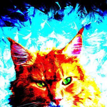 Felis catus