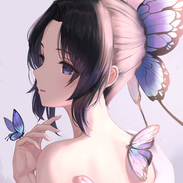 蝶