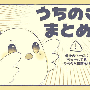 うちのこまとめ5