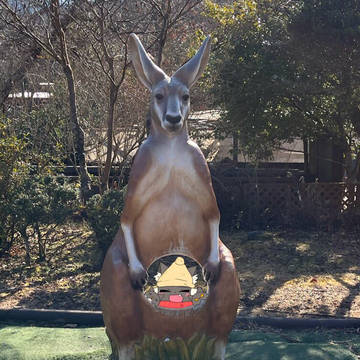 かんがるー