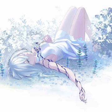 yume no daisyou