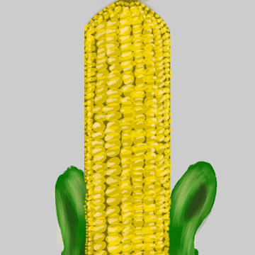 玉米