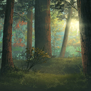 Forest