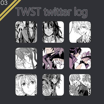 twstlog③