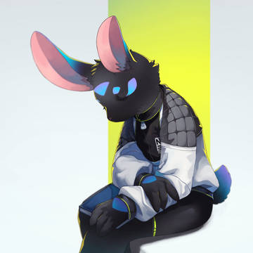 2021更新