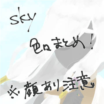 sky実録＆創作まとめ（顔あり）