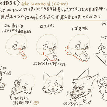 自己流!長めのマズルの描き方