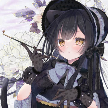 🖤🐯
