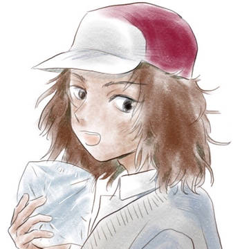 甲斐君
