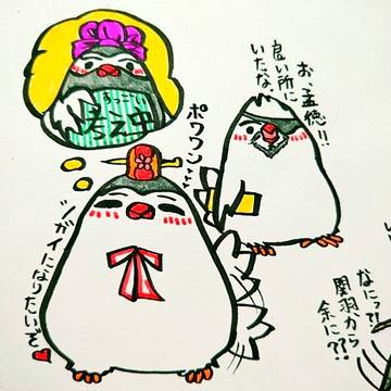 文鳥3594⑦