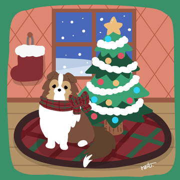 シェルティ×お家クリスマス