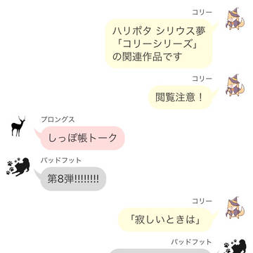 HP(シリウス)夢コリーシリーズ おまけ8