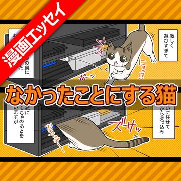 なかったことにする猫