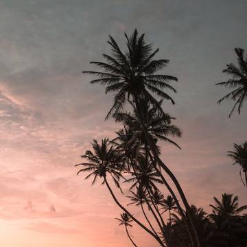 beautiful place to get lost