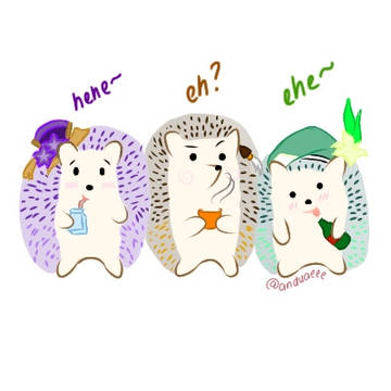Three types of Archon's ehehe.