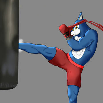 A New Fighter Was Born !