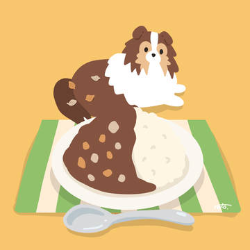 シェルティ×カレー