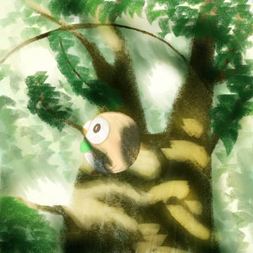 木漏れ日モクロー