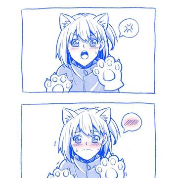 cat