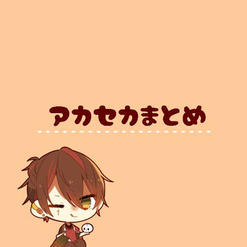 アカセカまとめ💀