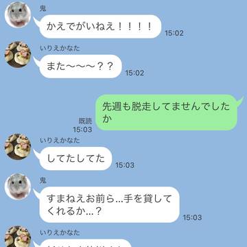 ハムスター捜索隊