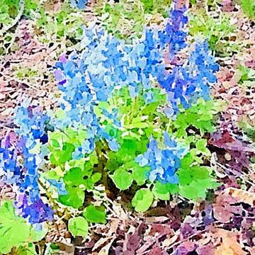 水彩風 植物 花