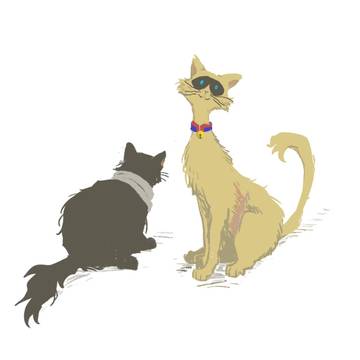 オル相 Log 10 (猫!)