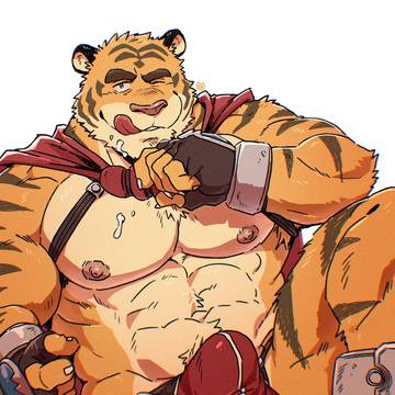 ビルドタイガー Build Tiger