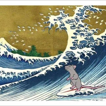 冲浪老鼠