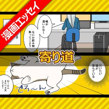 寄り道