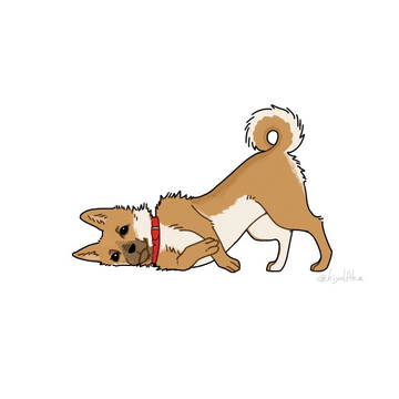 犬(たまに猫)まとめ