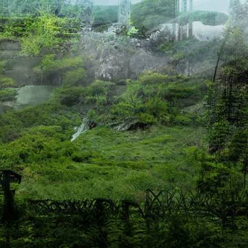 苔むした廃墟