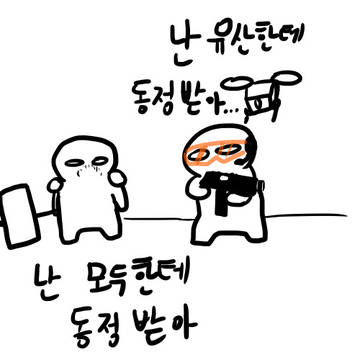 동정