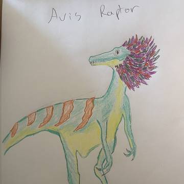 Avis Raptor