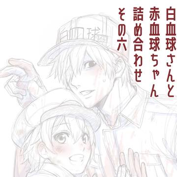 白赤詰め合わせ⑥