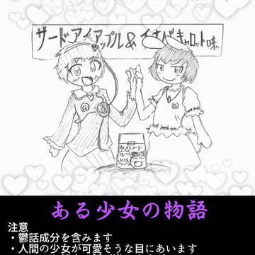 ある少女の物語